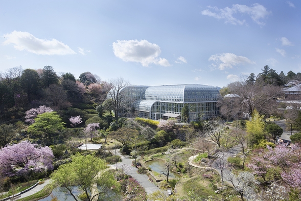 ≪らんまん記念≫博士ゆかりのハーブティ特典付♪〜牧野植物園入園チケットもついた朝食付プラン〜